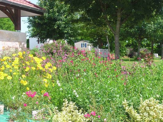 Camping Le Ventoulou