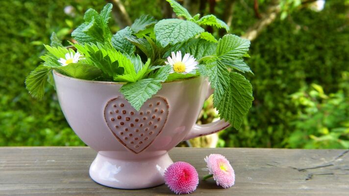 Herbe et Fleur c Pxhere