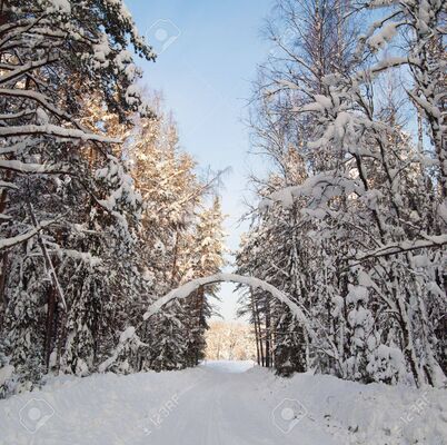 Hiver