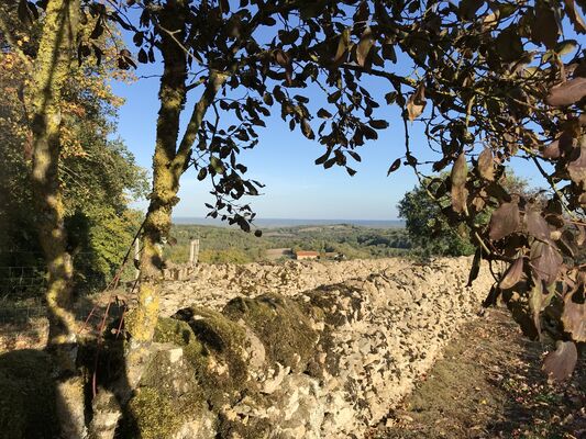 Une vue imprenable depuis le Causse Nud