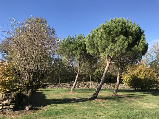 Une vue du jardin du Causse Nud