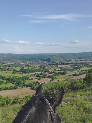 Centre Equestre Cheval Rando Equitation