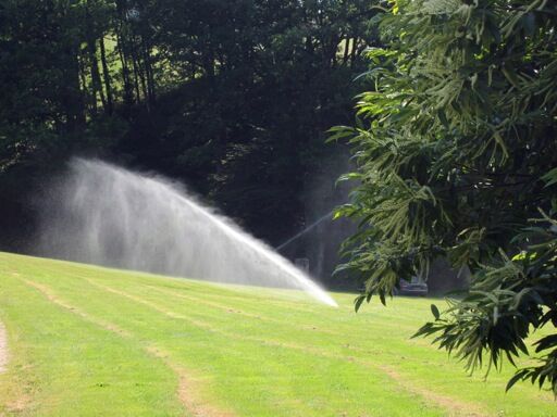 Arrosage