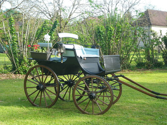 IMGP0037