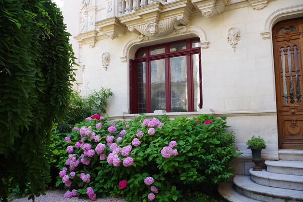 Jardin