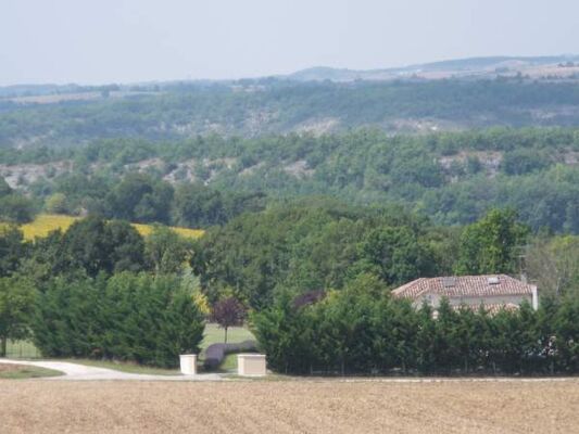 IMGP3417