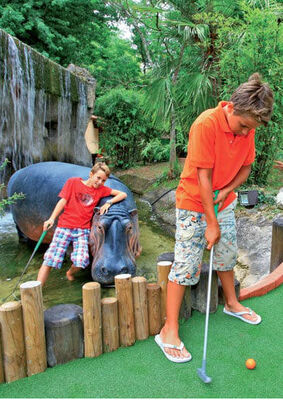 Jungle-Golf 2018