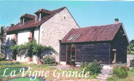 La vigne grande-collonges