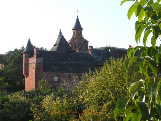 La Mérelle vue sur Collonges.jpg