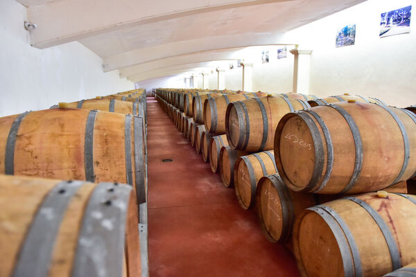 La cave du Clos Triguedina_02 © Lot Tourisme - C. ORY