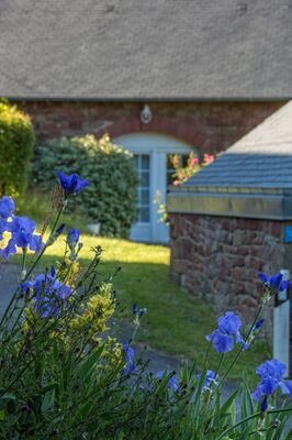 LaMaisonDesEtoiles-Noailhac_jardinFleuri
