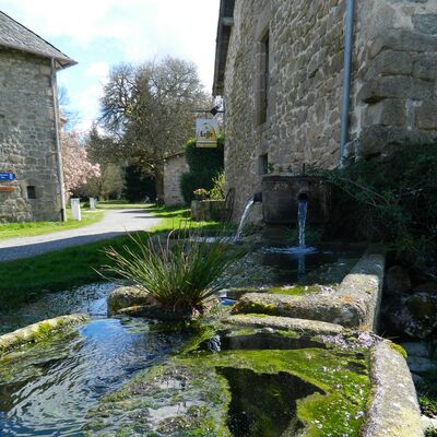 LaChenais-DomaineDeMeilhac-Hautefage_domaine