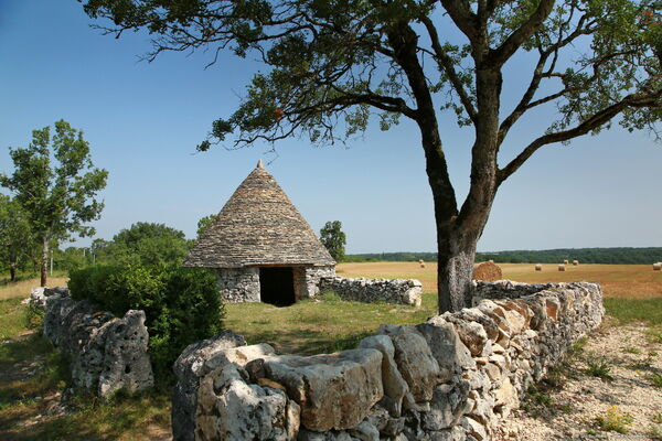 Lalbenque - Cazelle de Nouel