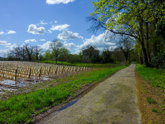 Les tuileries - Passage entre les vignes et le Lot © Lot Tourisme - C. Sanchez