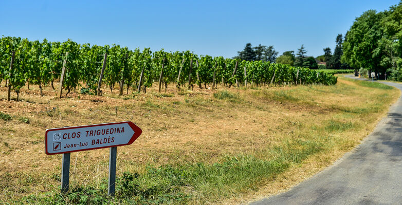 Les vignes du Clos Triguedina_14 © Lot Tourisme - C. ORY