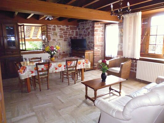 Location chez Paul et Alice - Collonges - sejour