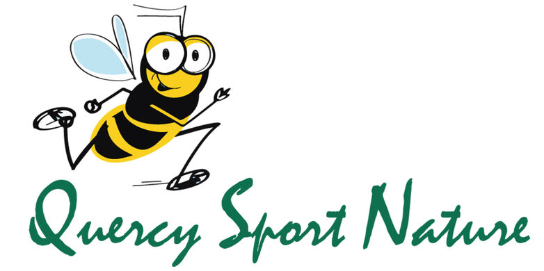 Logo QSN Abeille Meltonic couleur