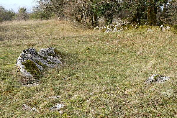 Lou Balade - Loubressac