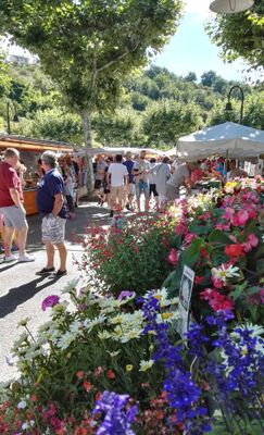 Marché_PE