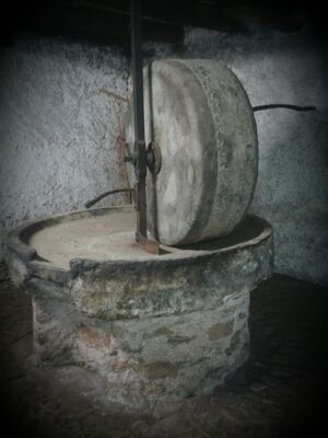 Moulin huile de noix