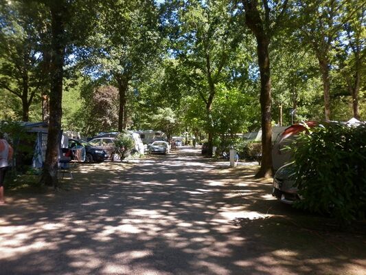 Camping Verte Rive