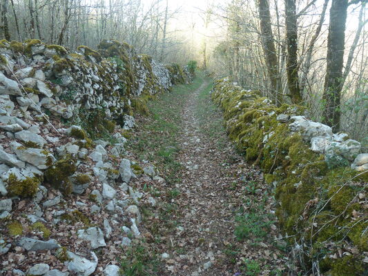 La Caminade