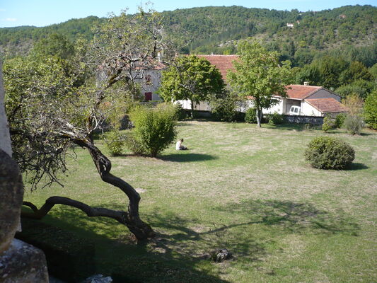 Le jardin