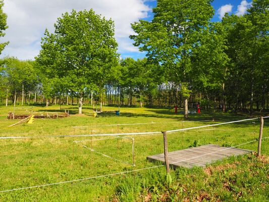 Centre Equestre Cheval Rando Equitation