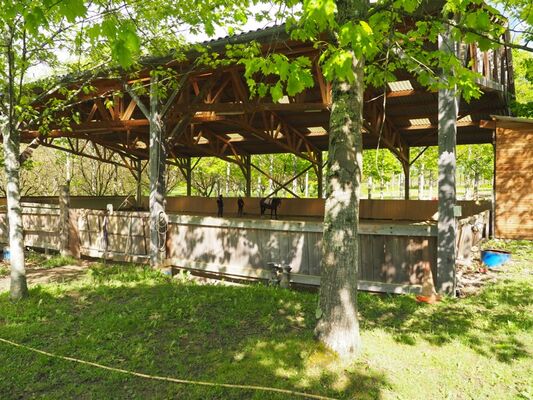 Centre Equestre Cheval Rando Equitation