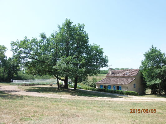 P6030192