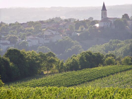Paysage domaine de Belfort