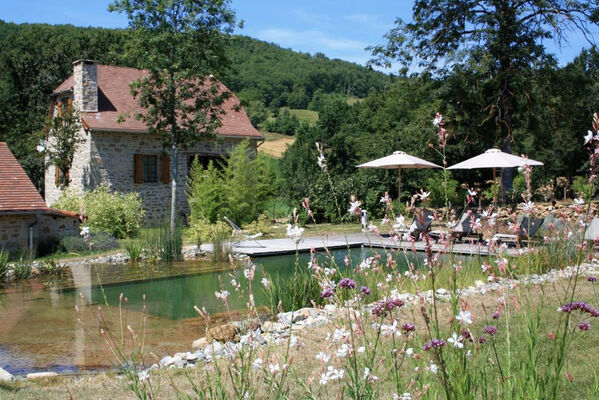 Piscine naturelle commune - Gîte "l'Orée des Chênes" - © Hameau du Quercy -010