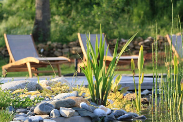 Piscine naturelle esprit zen © Hameau du Quercy -001