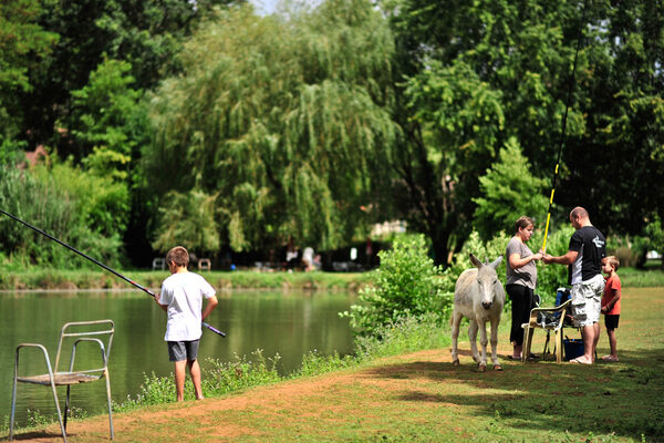 Pisciculture du Moulin de Guiral - Montredon_01 © Lot Tourisme - C. ORY