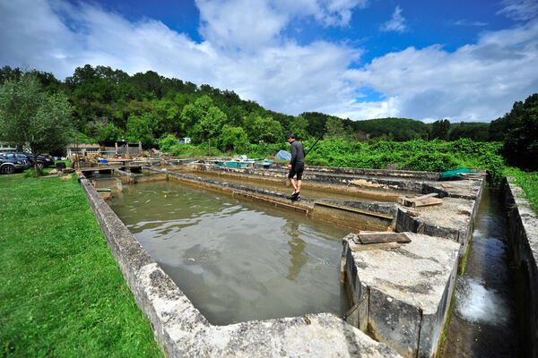Pisciculture du Moulin de Guiral - Montredon_10 © Lot Tourisme - C. ORY