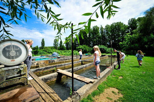 Pisciculture du Moulin de Guiral - Montredon_11 © Lot Tourisme - C. ORY