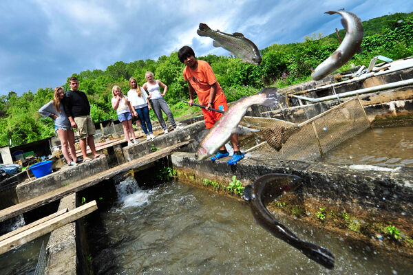 Pisciculture du Moulin de Guiral - Montredon_12 © Lot Tourisme - C. ORY