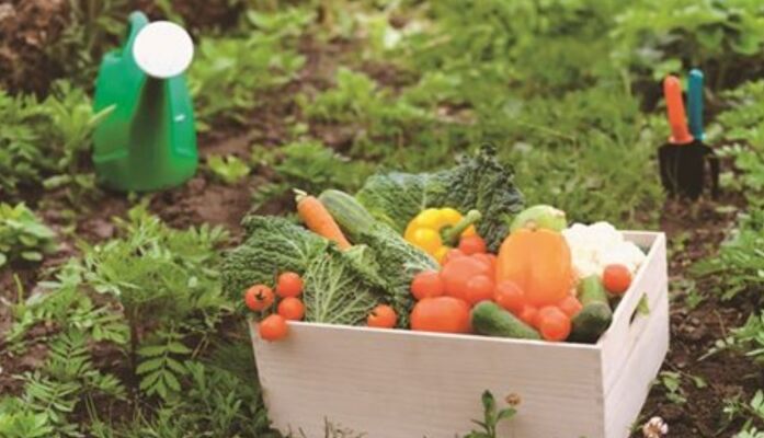 Potager