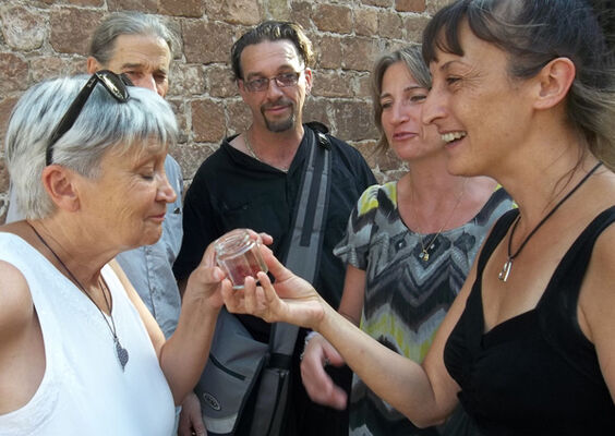 Quercy-Terre-Arome-Groupe