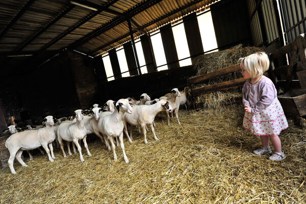 Rencontre à la ferme - Ferme de la Brebis Bavarde à Albiac_06 © Lot Tourisme - C. ORY