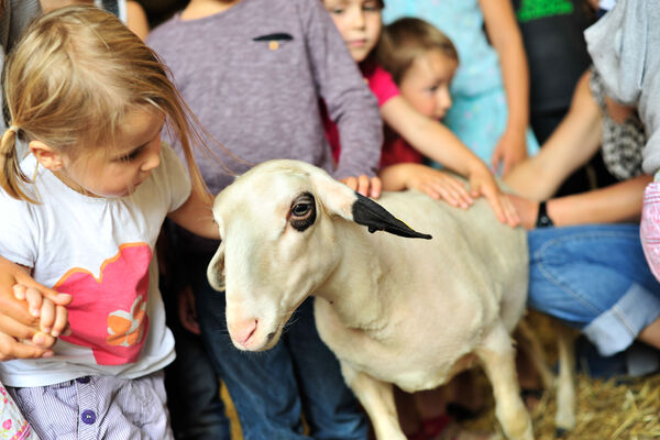 Rencontre à la ferme - Ferme de la Brebis Bavarde à Albiac_09 © Lot Tourisme - C. ORY