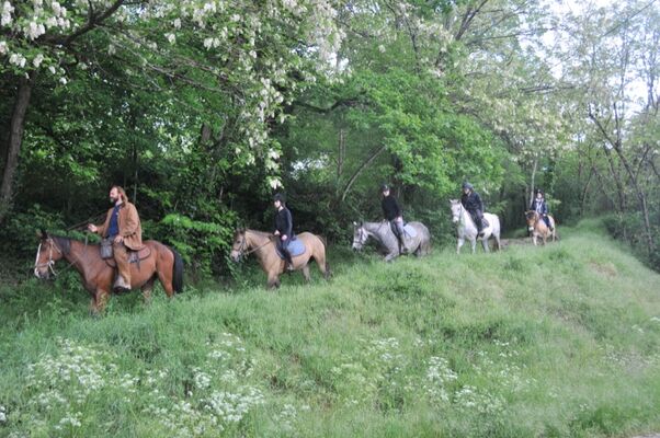 Centre Equestre Cheval Rando Equitation
