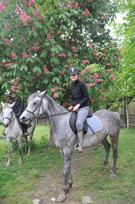 Centre Equestre Cheval Rando Equitation