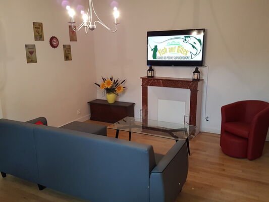 SALON + TV