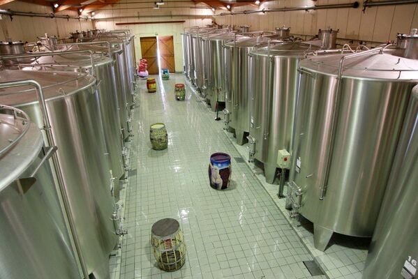 Saint Sernin Chai de vinification