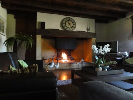 Salon au coin du feu