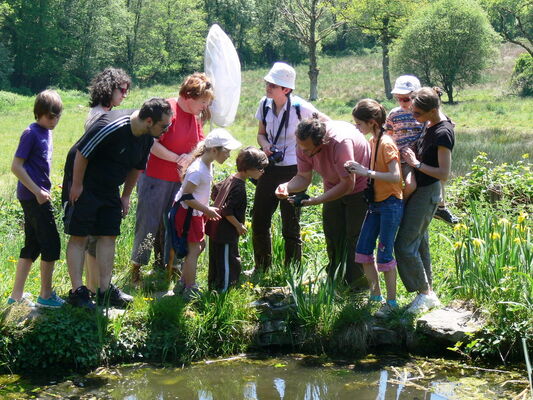 Sortie nature