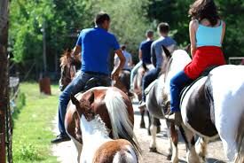 Stage de cheval
