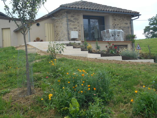 Tarayre1