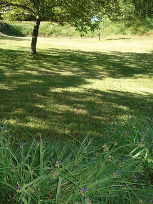 Terrain gite Cahors